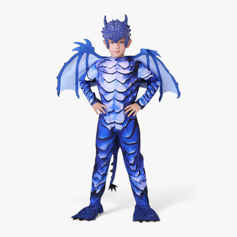 Majestic Dragon Fancy Dress Costume for Kids
